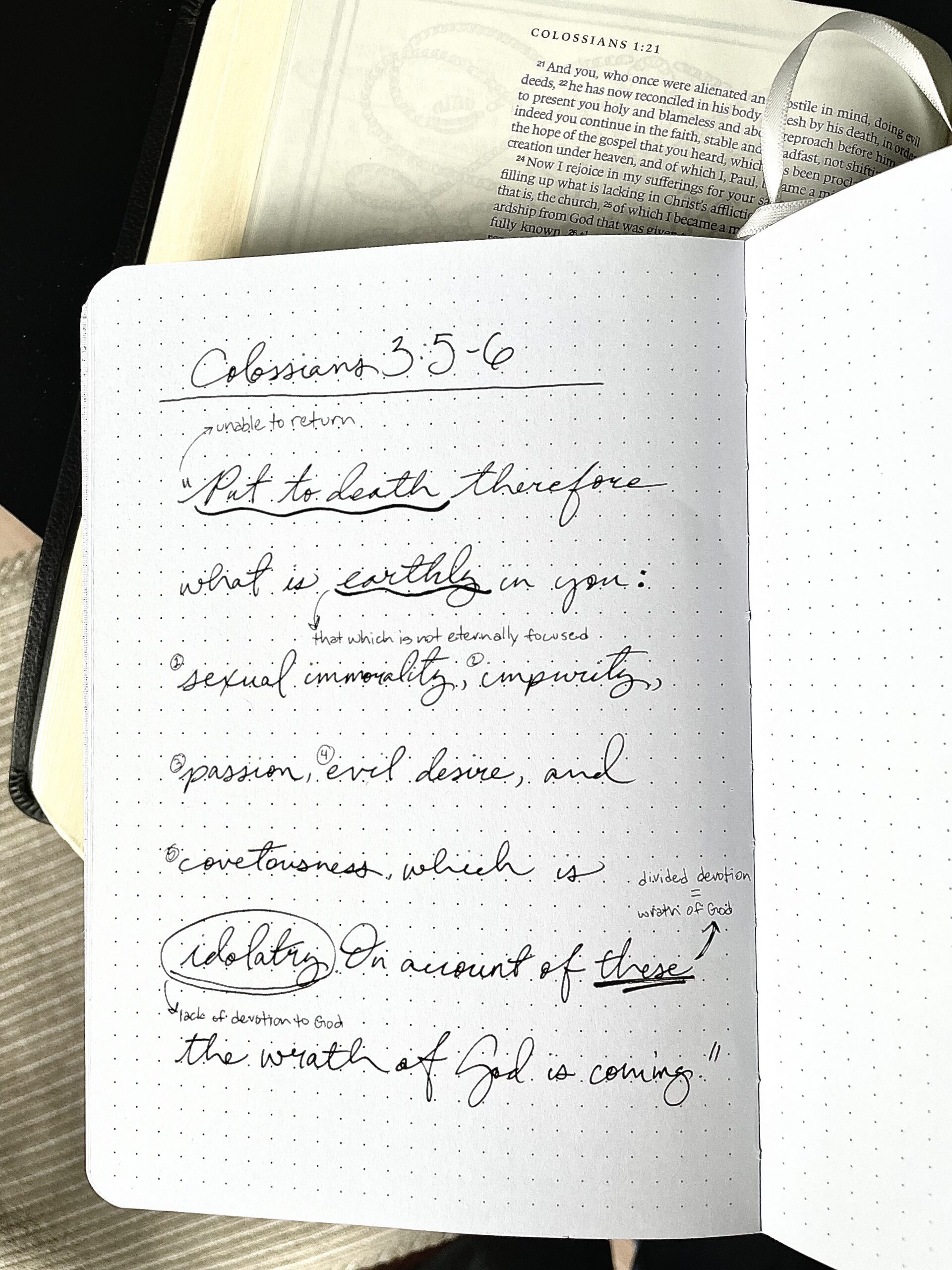 A journal entry displaying Colossians 3:5-6